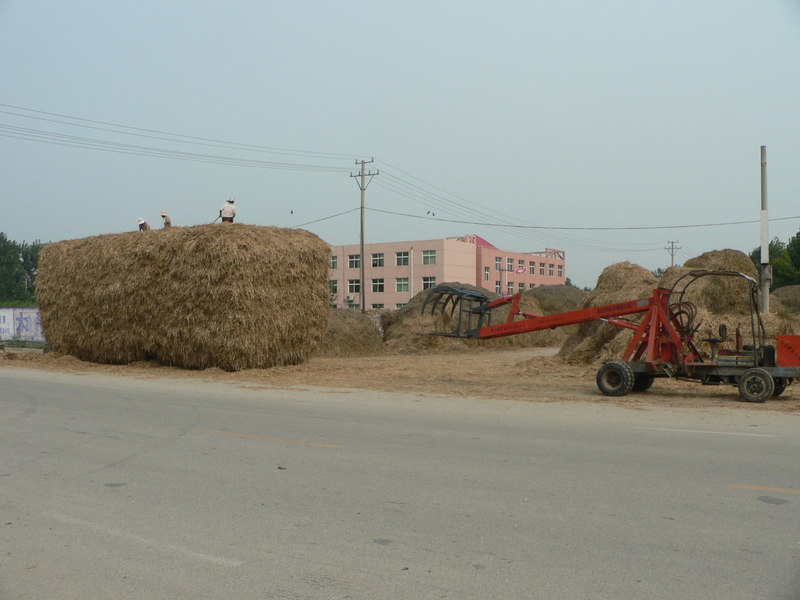 Workers dwarfed by a huge haystack on the side of the road