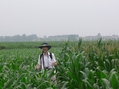#4: Targ amid cornfields at varying stages of development