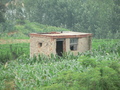 #9: Small stone and brick shed north the confluence