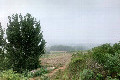 Visit #4: [28-Jun-25]