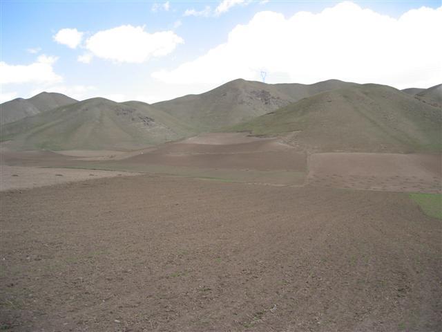 View of the confluence point.  It is in the field on the hill.
