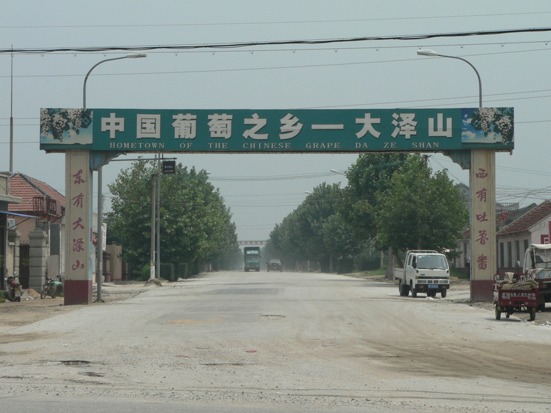 "Hometown of the Chinese grape - Dàzéshān"