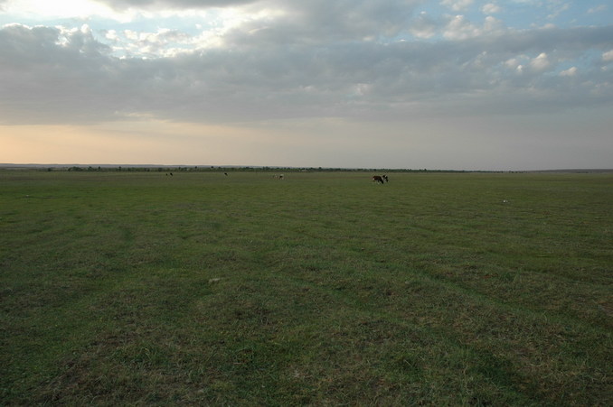 The nearby grass field