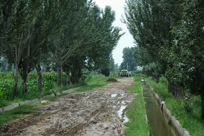 The muddy road leading to the confluence point with an irrigation ditch we used to clean up the mud