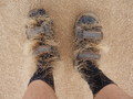 #11: Hairy Socks - Burrs after the Hike