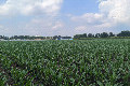 Visit #2: [17-Jun-25]