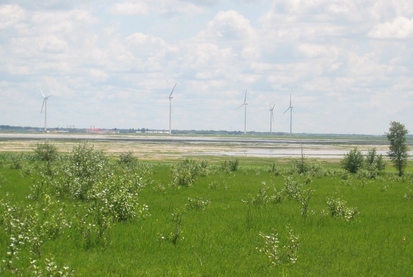 The Windmills Nearby