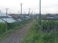 #10: Village 1 km from the Confluence