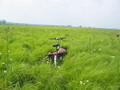 #10: Bicycle in the Meadow