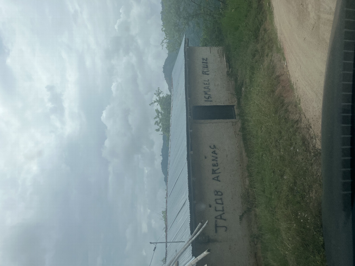 Guerrilla's presence in the region