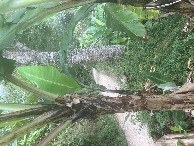 #3: West view