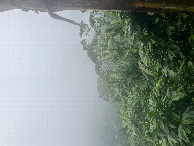 #5: East View
