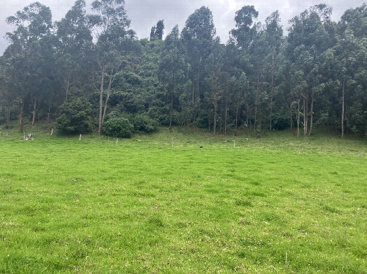 #1: General View of the confluence