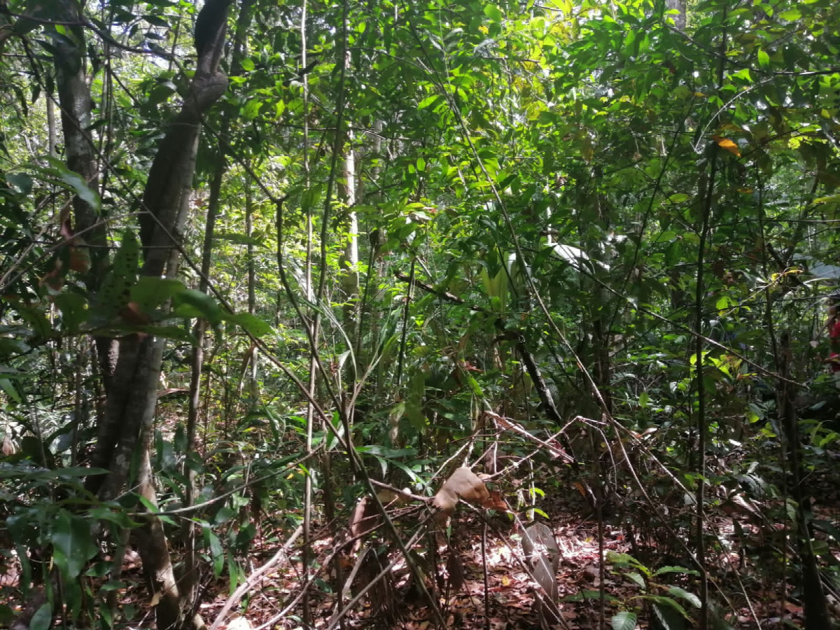 General view of the confluence