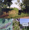 #8: The road from Nenkovice lined with plum trees