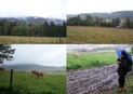 #8: Branišovský vrch ridge, nearby pasture and very muddy road...
