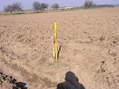 #7: These poles appear to mark the confluence point, although nothing is written on them