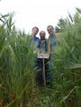 #6: Martin, Klaus & Hans in the grain field
