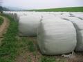 #8: The Silage Bales