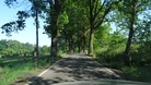 #7: Typical road, on the way towards CP 51N 15E