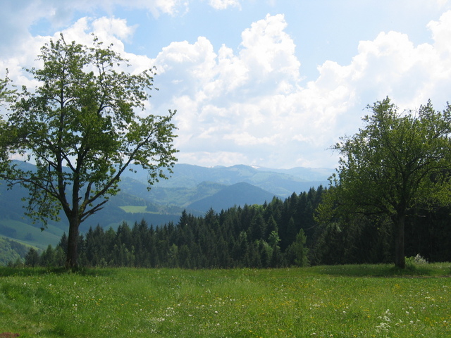 View to the Feldberg