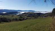 #7: View over St. Peter and the Black Forest