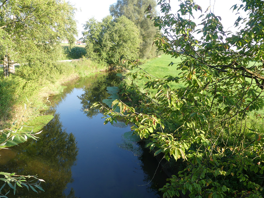 The river