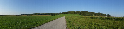 #1: Panoramic view from the point