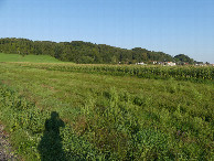 #3: North view