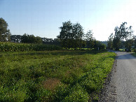 #4: East view