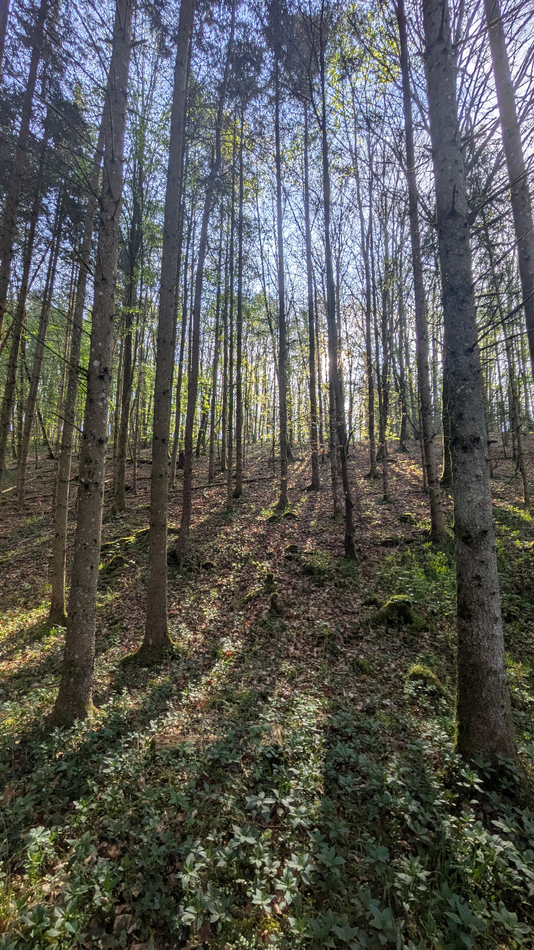 Osten (Steigung)