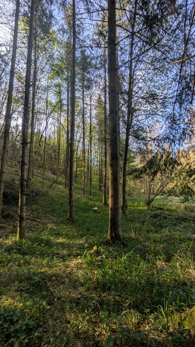 Süden 