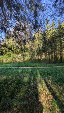 #4: Westen mit Blick auf den Forstweg