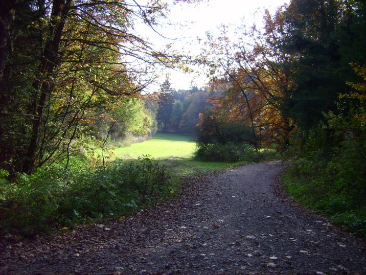 Kreuzung vor dem Cache, an dem es in den Wald geht / Crossing before entering the forest
