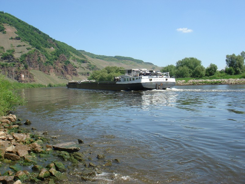 Vessel Transport on River Mosel / Frachter auf der Mosel