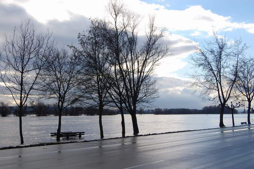 high water level at the Rhine