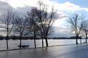 #9: high water level at the Rhine