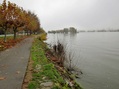 #10: Path along the Rhine river in Oestrich-Winkel