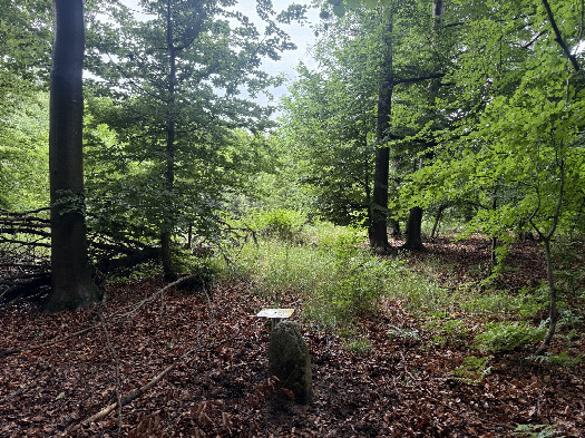 #1: The Confluence from 10 m distance