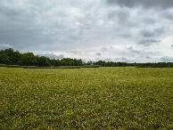 #2: east