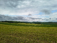 #3: west