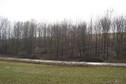 #6: General view of the confluence (towards S, ca. 100 m away)