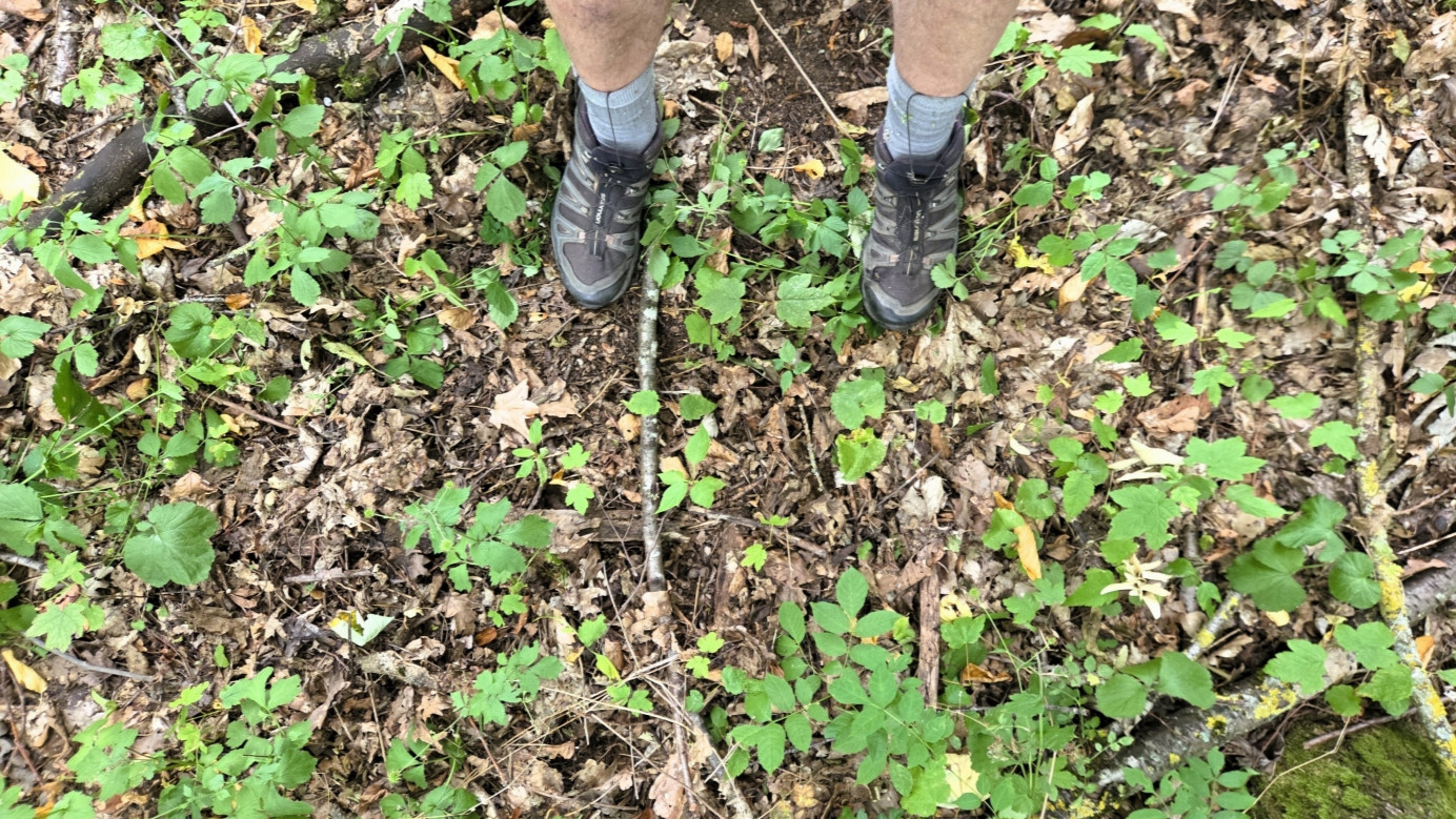 ground at CP