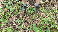 #7: ground at CP