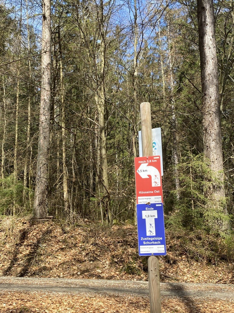 follow the cross-country ski trail (in spring)