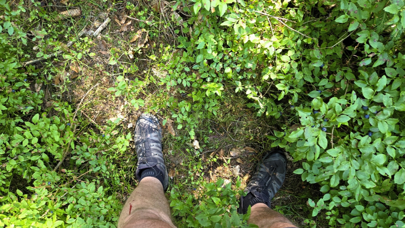 ground at CP