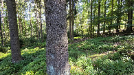 #3: view west
