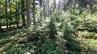 #4: view south
