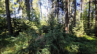 #5: view east