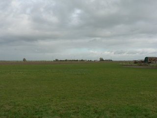 #1: View to the North - The DCP lies about 16 meters inside the meadow